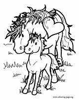 Horse Coloring Baby Mother Pages Color Horses Colouring sketch template