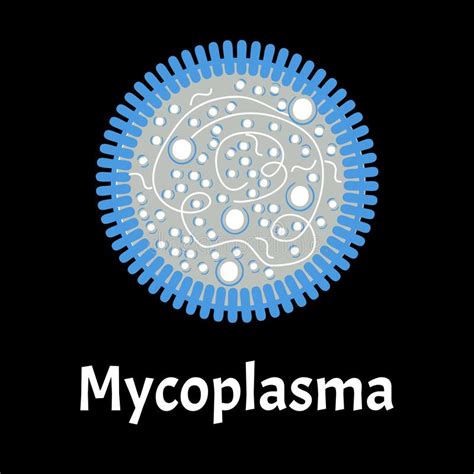 Mycoplasma Bacterial Infections Mycoplasma Sexually