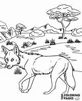 Coyote Topcoloringpages African Howling sketch template