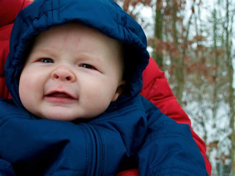 joyful life snow babies