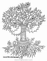Coloring Tree Pages Life Roots Olive Trunk Adult Drawing Printable Simple Adults Coloringgarden Pecan Color Mandala Sheet Drawings Celtic Template sketch template