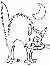 Cat Scared Coloring Drawing Pages Getdrawings Cats sketch template