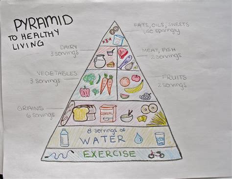 food pyramid sketch  paintingvalleycom explore collection  food
