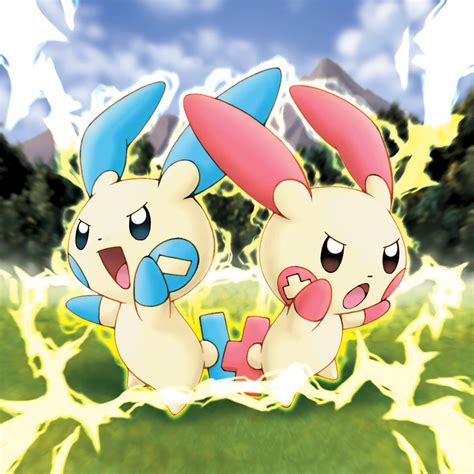 Image Plusle And Minun Pokemon Ranger  Pokémon Wiki