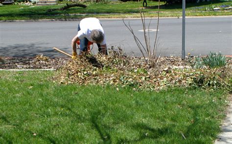 weekend yard work  grateful   yard work