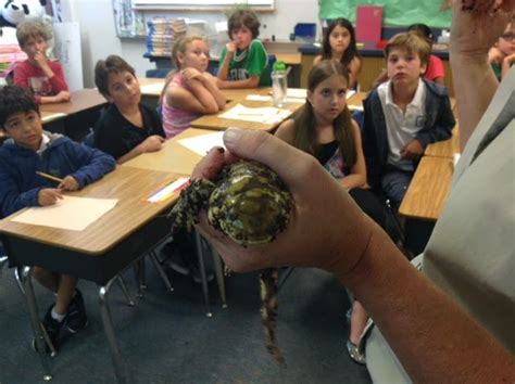 mrs yollis classroom blog wildlife experience