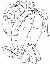 Starfruit Coloring Pages Clipart Half Two Cliparts Kids Library Sketch sketch template