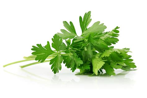 health benefits  parsley