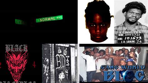black disciple nation urban dictionary gangsta disciples