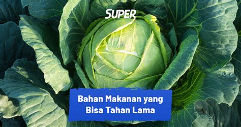 Daftar Bahan Makanan Yang Tahan Lama Tanpa Disimpan Di Kulkas