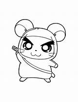 Hamster Coloring Pages Cute Realistic Hamtaro Getcolorings Library Popular Getdrawings Color Drawn sketch template