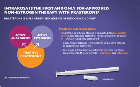 How Is Intrarosa® Prasterone Metabolized