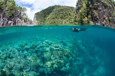 Papua New Guinea Yacht Expeditions Cookson Adventures