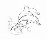Dolphin Coloring Pages Drawing Cute Template Printable Print Line Kids Jumping Animal Colouring Para Delfines Colorear Realistic Dibujos Templates Dolphins sketch template