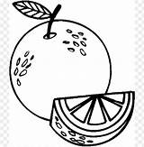 Orange Jeruk Frutas Mewarnai Laranja Buah Sketsa Naranja Fruta Oranges Menggambar Pohon Gambarcoloring Diwarnai Pintar Toppng Apk Android Brindes Belajar sketch template