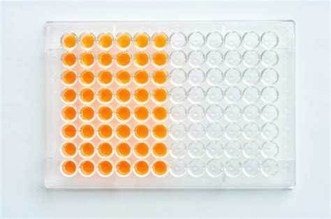 microplate  solution stock photo  image  istock
