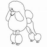 Standard Coloring Poodles Powered sketch template