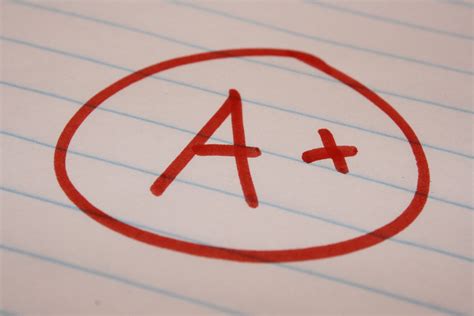 exam grades cliparts   exam grades cliparts png