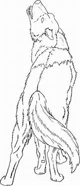 Howling Drawing Lineart Coyote Colouring Outline sketch template