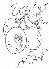 Pages Coloring Fruit Tree Wuppsy Lemons Kids Printable sketch template