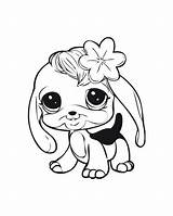 Coloring Littlest Chihuahua Shops Lps Coloringtop Clipartmag Getcolorings Puppies Cat sketch template