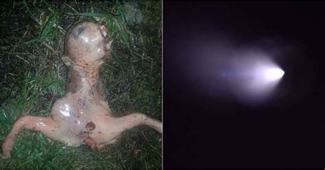 ugly ‘alien is found in san jose california after ufo
