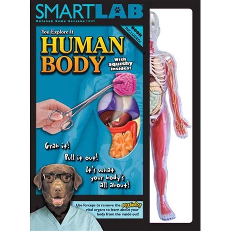 explore   human body walmartcom