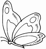 Farfalle Butterflies Mariposas sketch template