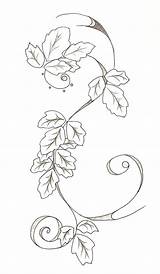 Ivy Poison Tattoo Plant Drawing Leaf Tattoos Tat Take Poision Getdrawings Deviantart Visit Stats sketch template