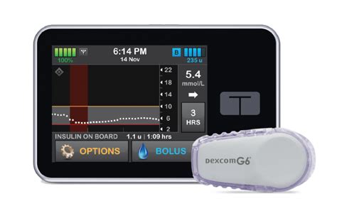 insulin pump therapy for type 1 diabetes tandem® australasian
