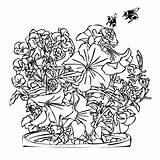 Petunias Contour sketch template