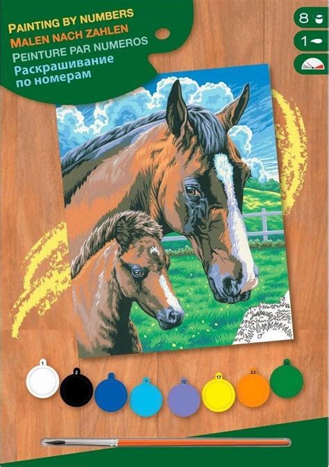schilderen op nummer paard bol