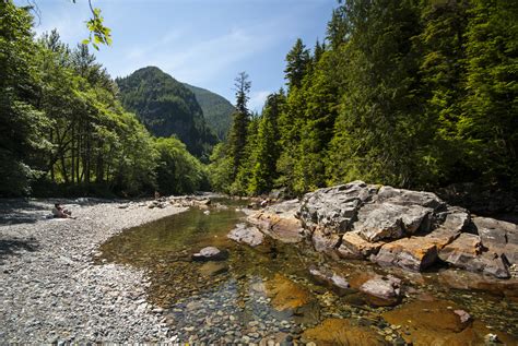 south fork snoqualmie river picnic area outdoor project