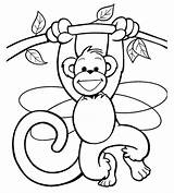 Monkey Coloring Pages Head sketch template
