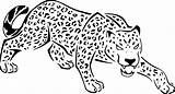 Coloriage Jaguar Gepard Ausmalbilder Felin Panthera Ausmalbild Animaux Ausdrucken Ausmalen Coloriages Geparden Drucken Cheetah Raskrasil Imprimé sketch template