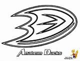 Coloring Hockey Nhl Ducks Anaheim Pages Clipart Team Clip Cliparts Popular Library Coloringhome sketch template