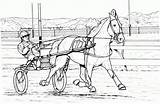 Cavalo Cavalos Caballos Carreras Caballo Pferde Trotter Carros Carriage Clydesdale Ausmalen Dibujoswiki Ausdrucken Pferderennen Coloringcity sketch template