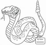 Coloring Reptile Pages Reptiles Snake Getdrawings sketch template