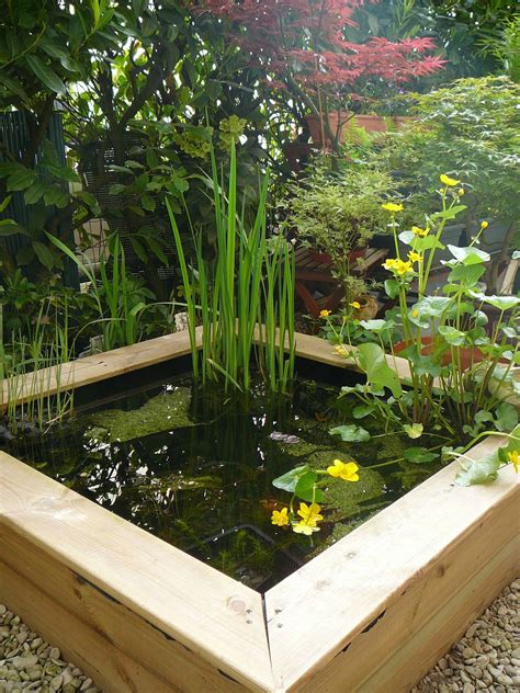 bassin de jardin bassin en terrasse album  les passions de kathy outdoor fish ponds