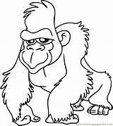 Gorilla Coloring Pages Printable Color Cartoon Animals Rainforest Animal Sheets sketch template