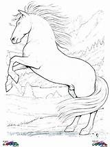 Horse Coloring Pages Printable Horses Mustang Realistic Draft Detailed Clydesdale Getcolorings Running Colouring Color Getdrawings Colorings sketch template
