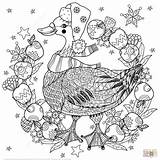 Christmas Coloring Pages Zentangle Goose Printable Doodle Supercoloring Hat Apples Funny Duck Vector Navidad Tree Getcolorings Color Colorings Animals Visit sketch template