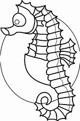 Coloring Seahorse Sea Animal Wecoloringpage Pages sketch template