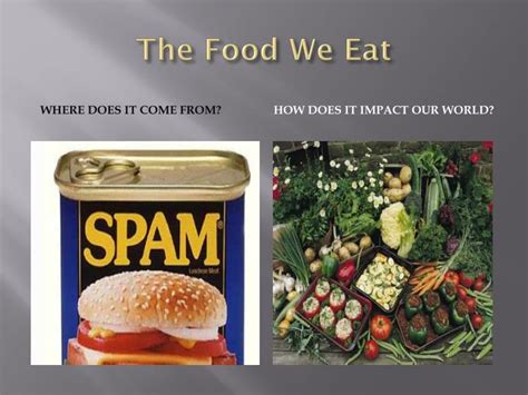 ppt the food we eat powerpoint presentation free download id 5331885