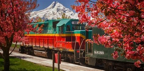 scenic train rides  oregon   perfect  nature lovers