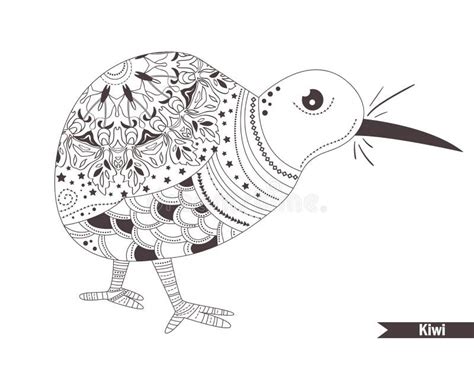 kiwi bird coloring stock illustrations  kiwi bird coloring stock