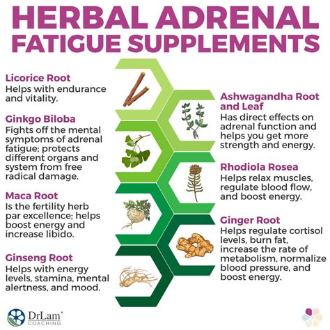 The Complete Guide To Adrenal Fatigue Supplements Dr Lam Coaching