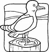 Uccelli Oiseaux Coloriage Ptice Colorat Bojanke Pasari Crtež Ptica Planse Imprimir Djecu Zivotinje četiri Pajaros Aves Colorir Dessin Crtezi Paginas sketch template
