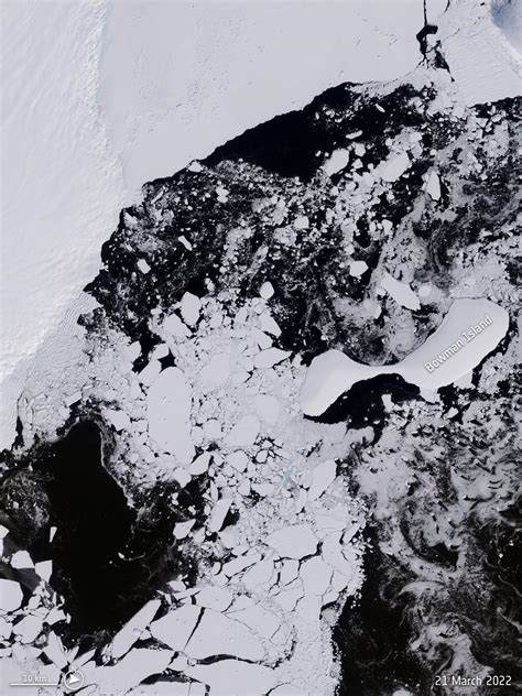 startling picture shows  east antarctica conger ice shelf collapse