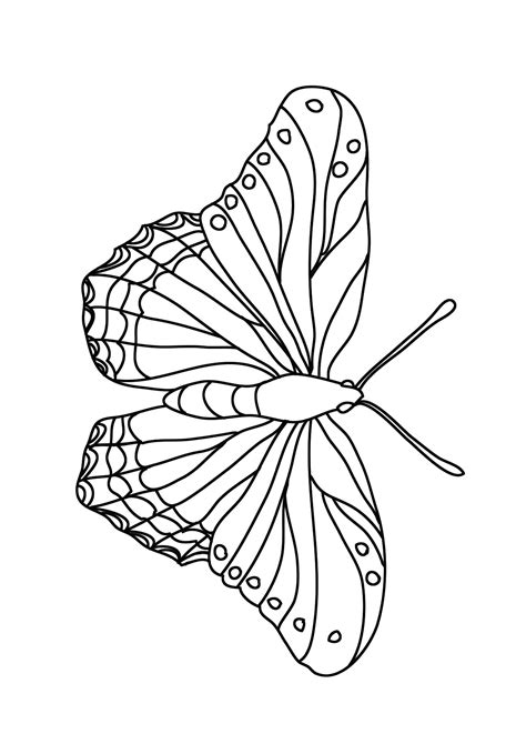 coloring page butterflies mackira thanatos
